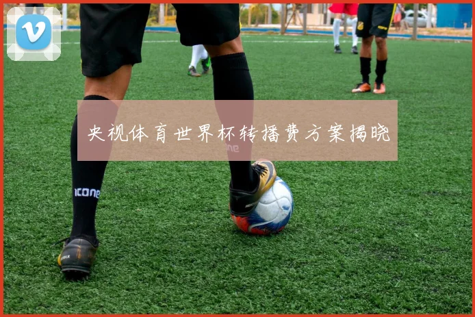 央视体育世界杯转播费方案揭晓
