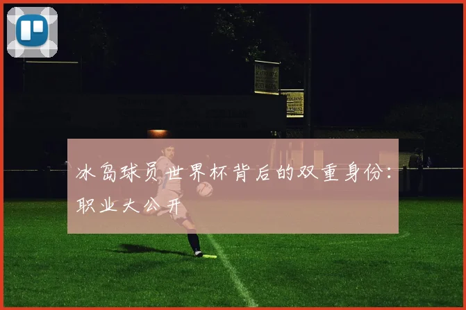 冰岛球员世界杯背后的双重身份：职业大公开